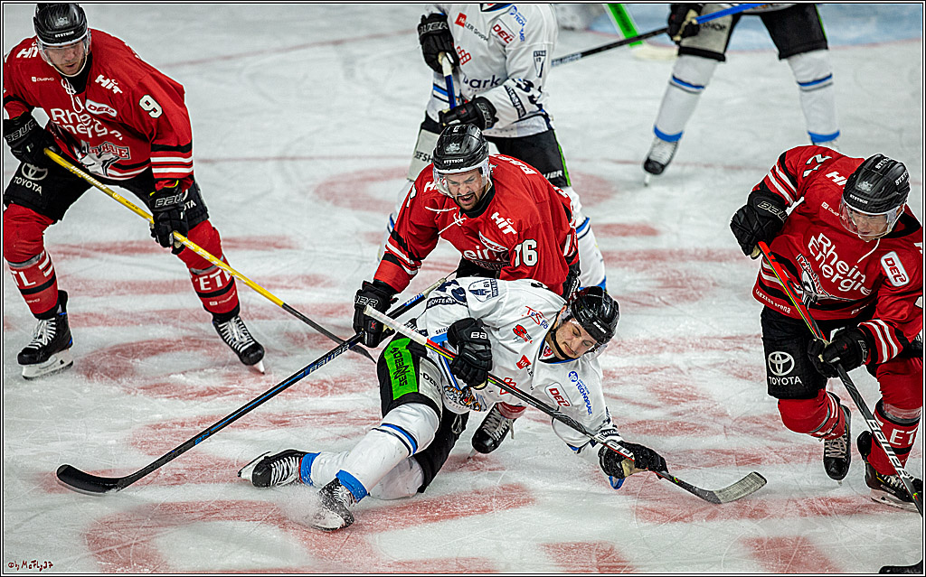 DEL; Koelner Haie - Straubing Tigers; Koeln, 17.11.2019